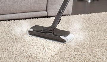 polti vaporetto handy carpets