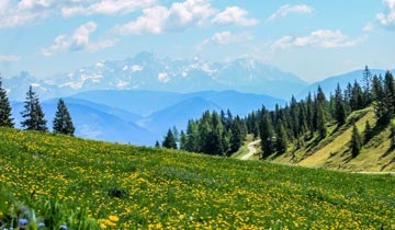 paesaggio di montagna